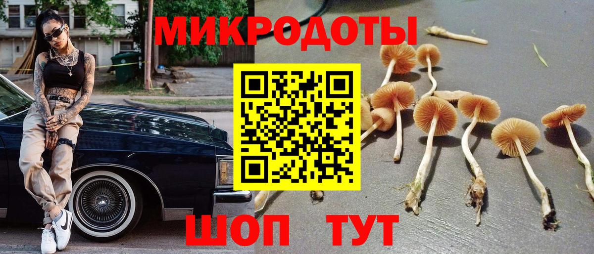 Галлюциногенные грибы мухоморы Абинск